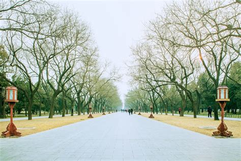 平安符放哪裡|【平安符放哪裡】神明也會吵架？平安符擺放禁忌大公開，這樣做。